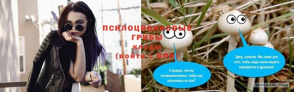 гидропоника Киренск