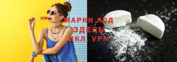 гидра Кодинск