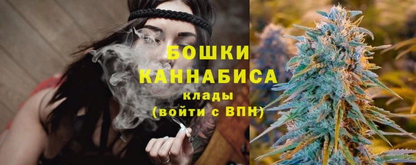 гидра Кодинск